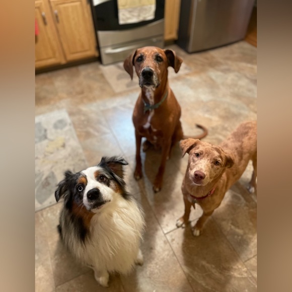 Let’s Make A Deal!!!! - Picture 5 of 7